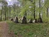 Click for full size image of Store Bøgeskov Langdysse 1 (PID:221400) Store Bøgeskov Langdysse 1