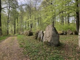 Click for full size image of Store Bøgeskov Langdysse 1 (PID:221401) Store Bøgeskov Langdysse 1