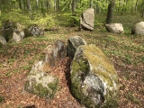 Click for full size image of Store Bøgeskov Langdysse 1 (PID:221402) Store Bøgeskov Langdysse 1
