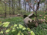 Click for full size image of Lille Bøgeskov Langdysse (PID:211184) Lille Bøgeskov Langdysse