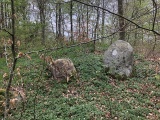 Click for full size image of Lille Bøgeskov Langdysse (PID:211186) Lille Bøgeskov Langdysse