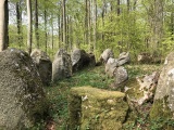 Click for full size image of Store Bøgeskov Langdysse 1 (PID:221409) Store Bøgeskov Langdysse 1
