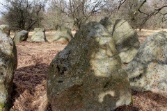 Kongedyssen Langdysse - PID:74978