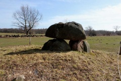Halskov Runddysse - PID:74852