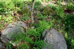 Heinede Runddysse - PID:77222