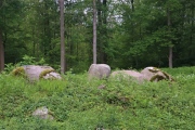 Hørret Skov Megalitgrav
