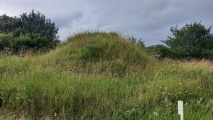 Click for full size image of Lillehøj og den store sagnsten (PID:274481) Lillehøj og den store sagnsten