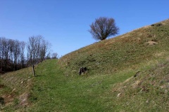 Magelund Voldsted - PID:75396