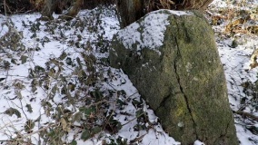 P�reg�rd Langdysse - PID:73082