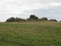 Renehuse Langdysse - PID:53780