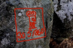 Kongedyssen Langdysse - PID:74959