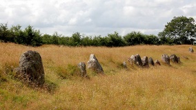 Vedsted Langdysse 1 - PID:61772