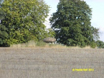 Ulstrup Skelby Runddysse - PID:84369