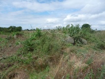 Sprove Langdysse - PID:72509