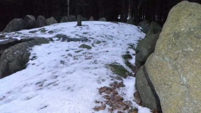 Pipstorn Skov Langdysse 3 - PID:71994