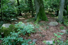 Frejlev Skov Langdysse 3 - PID:80806