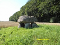 Halskov Runddysse - PID:84355
