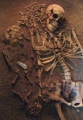 Vedbæk mesolithic cemetery submitted by Andy B