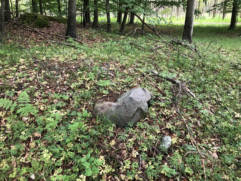 Sorø Sønderskov Langdysse 2 (PID:198126) Sorø Sønderskov Langdysse 2