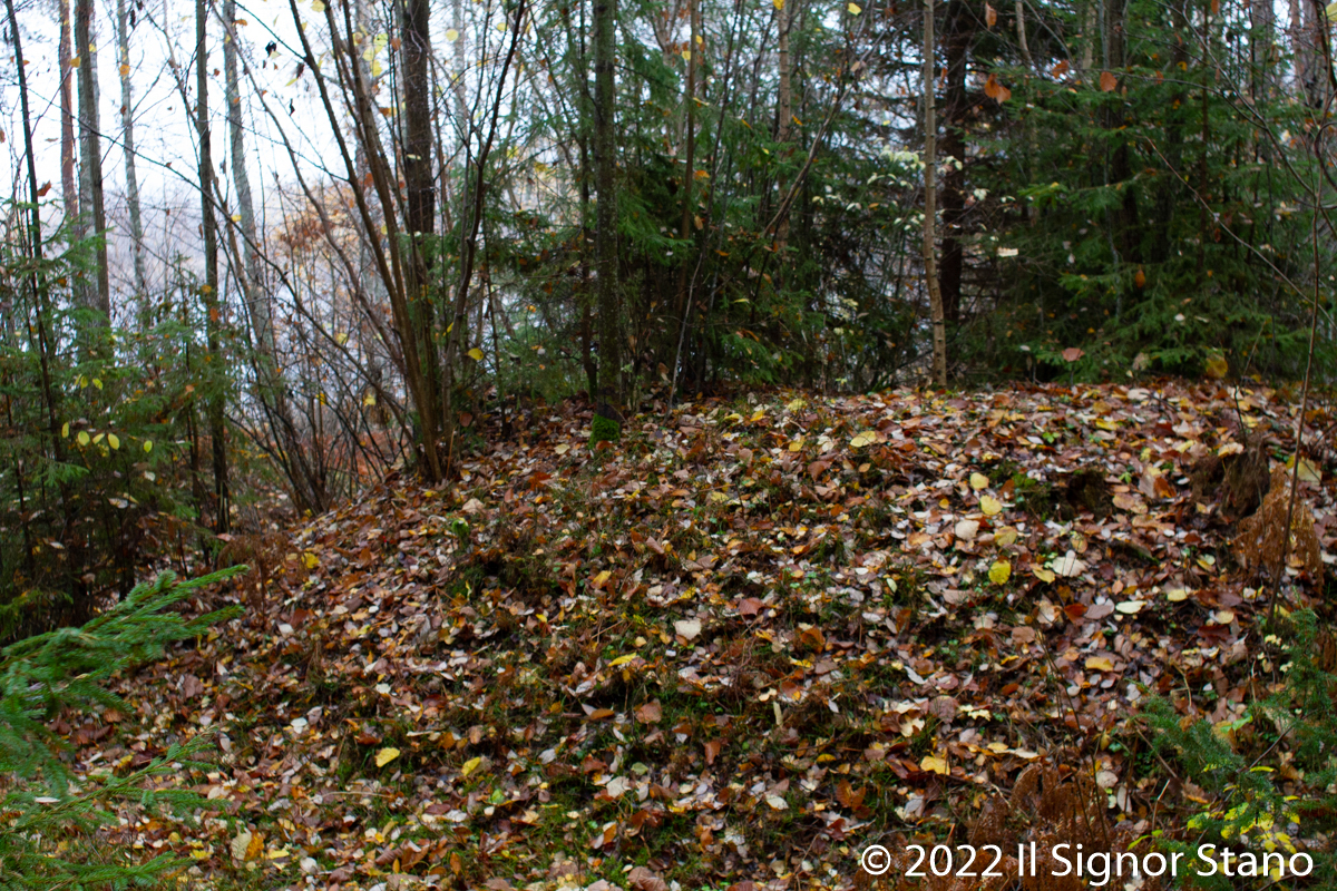 Click for full size image of Myran (PID:251022) Myran