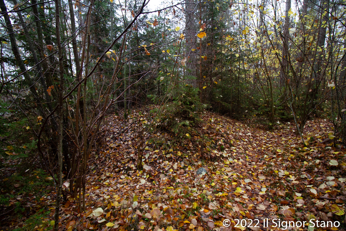 Click for full size image of Myran (PID:251025) Myran