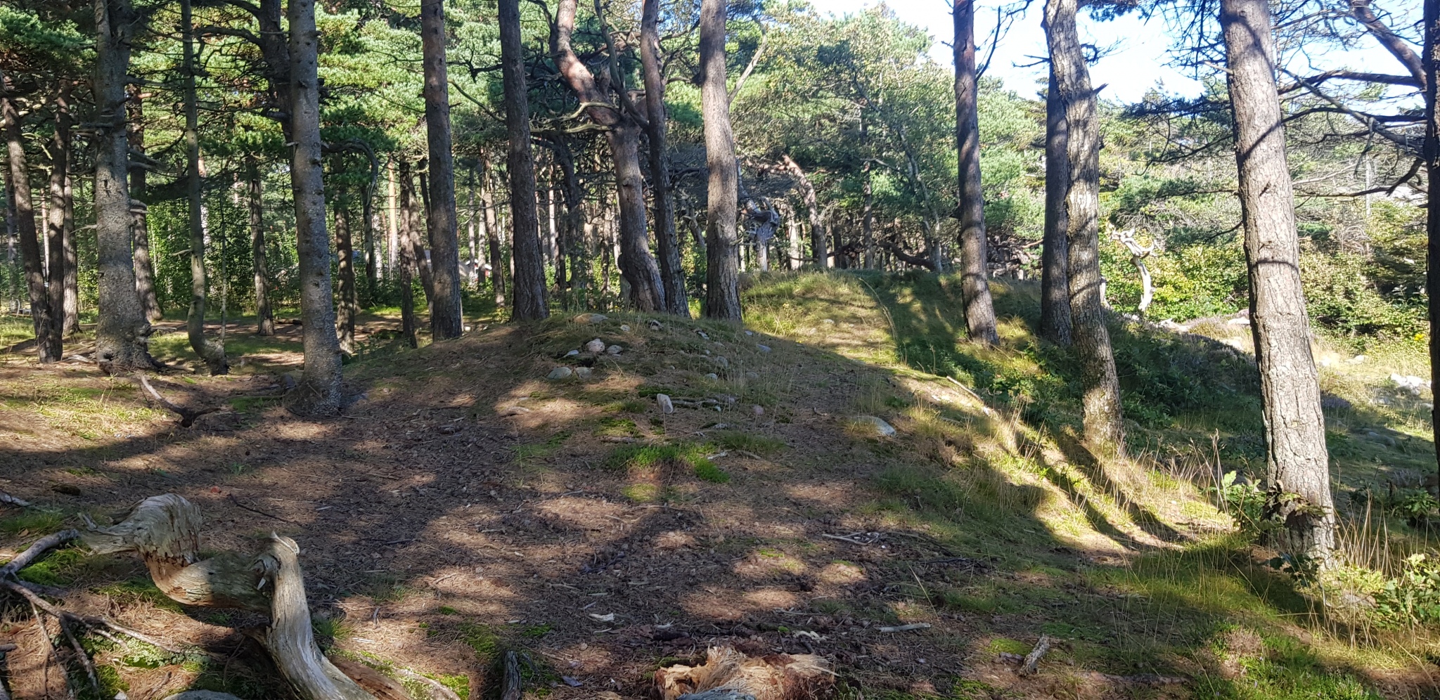 Click for full size image of Hoveodden Røyser (PID:202496) Hoveodden Røyser