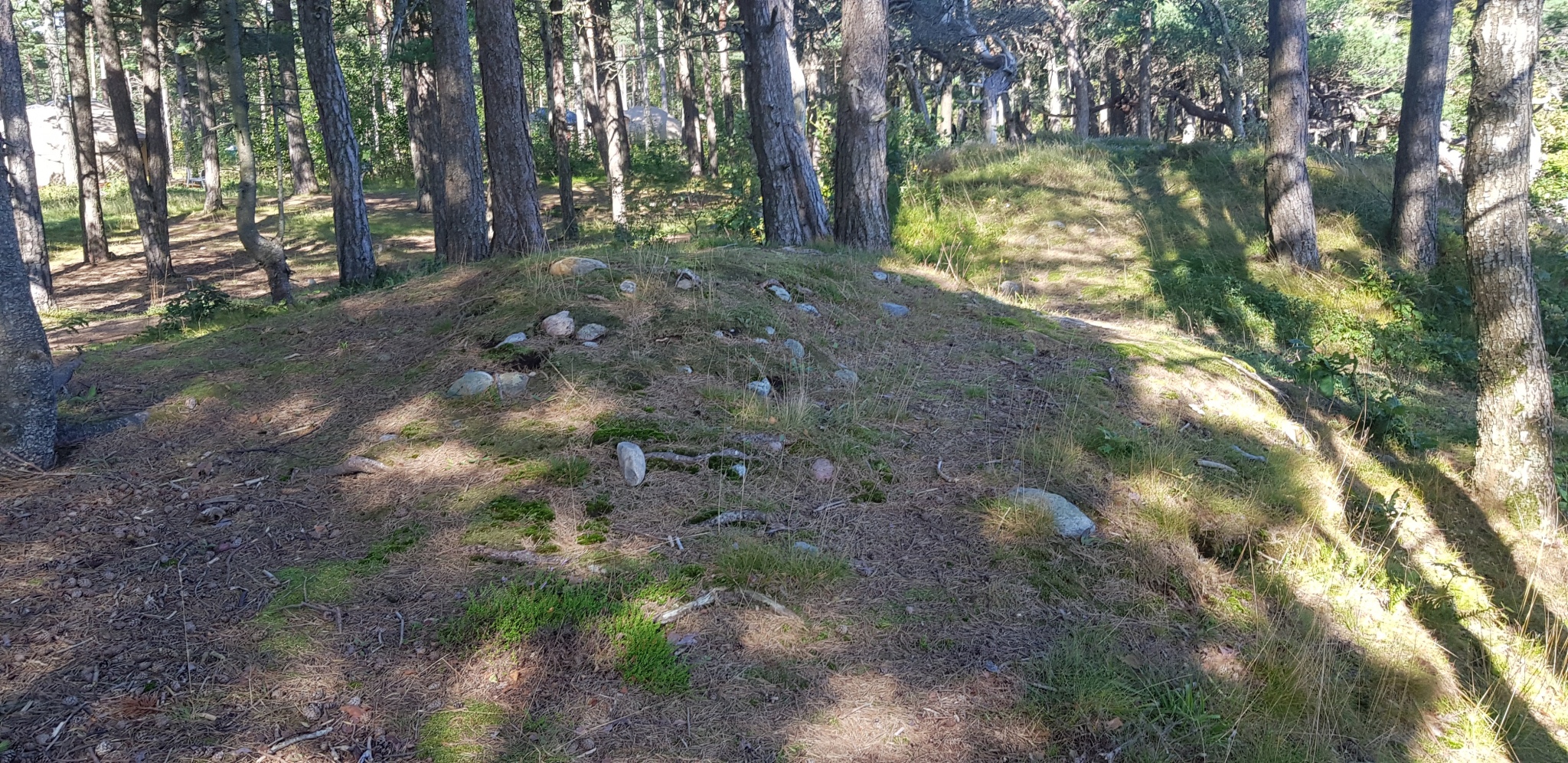 Click for full size image of Hoveodden Røyser (PID:202497) Hoveodden Røyser