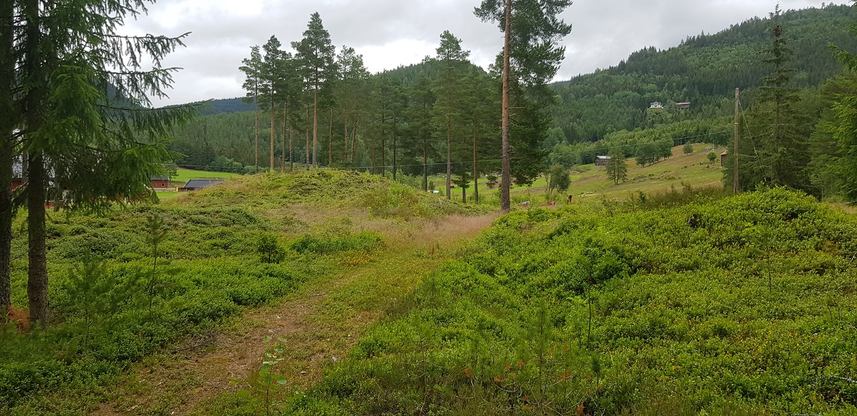 Flatelandsmoen (PID:218336) Flatelandsmoen