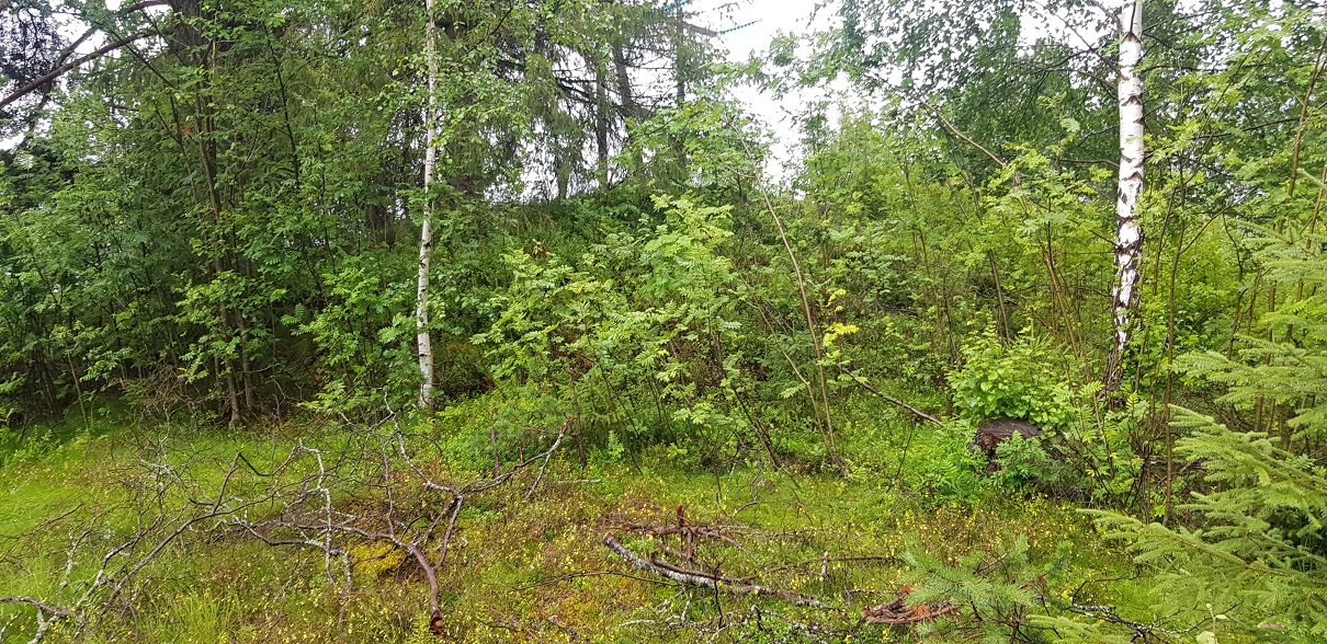 Click for full size image of Kitilhaugen (PID:217992) Kitilhaugen