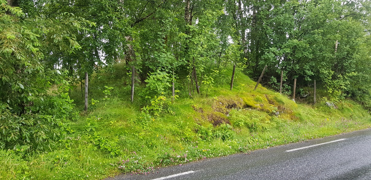Nordre-Hausåker (PID:220194) Nordre-Hausåker