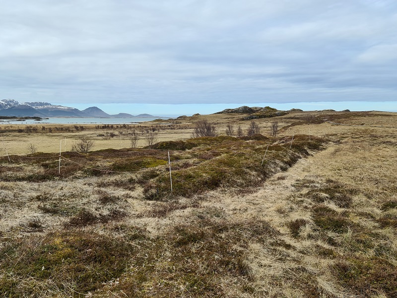Husvågen (PID:232875) Husvågen