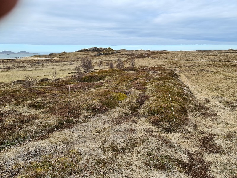 Click for full size image of Husvågen (PID:232874) Husvågen