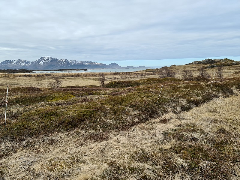 Click for full size image of Husvågen (PID:232876) Husvågen