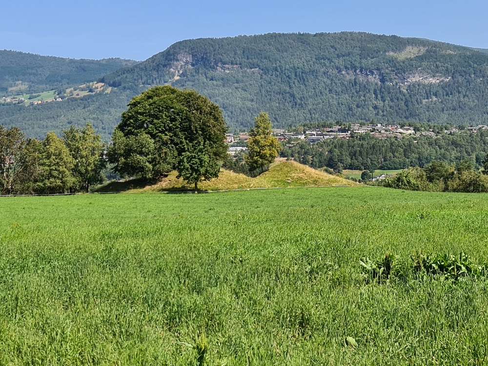 Mardal (PID:234579) Mardal