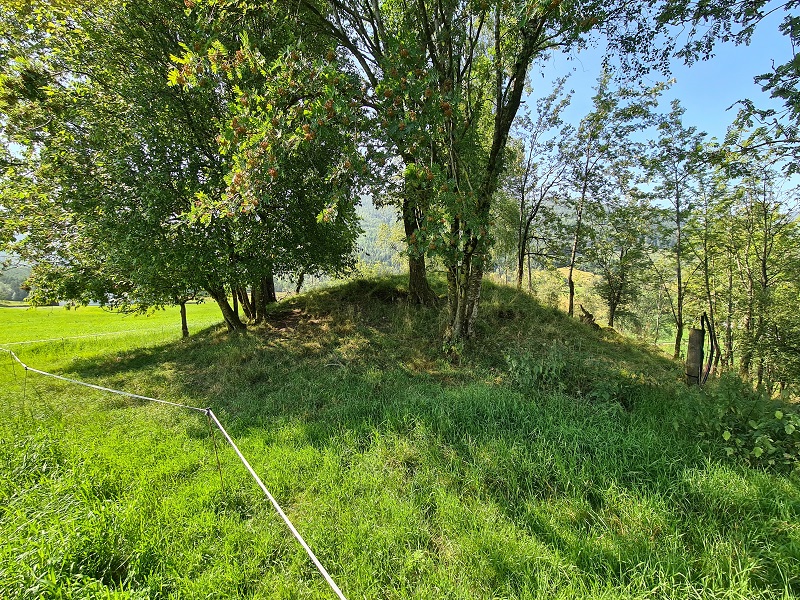 Click for full size image of Mardal (PID:234581) Mardal