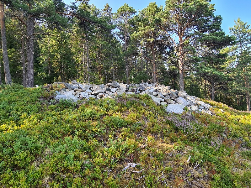 Click for full size image of Jostu-Geiteneset (PID:234331) Jostu-Geiteneset