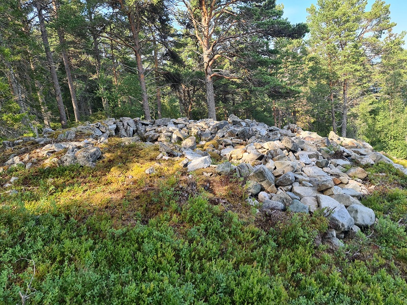 Click for full size image of Jostu-Geiteneset (PID:234333) Jostu-Geiteneset