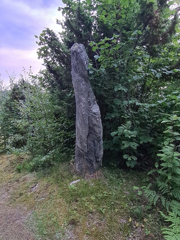 Vigtil Standing Stone (PID:232775) Vigtil Standing Stone
