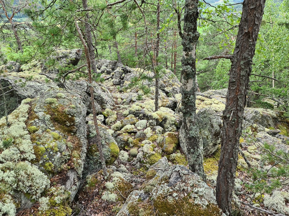 Steinberget Hillfort