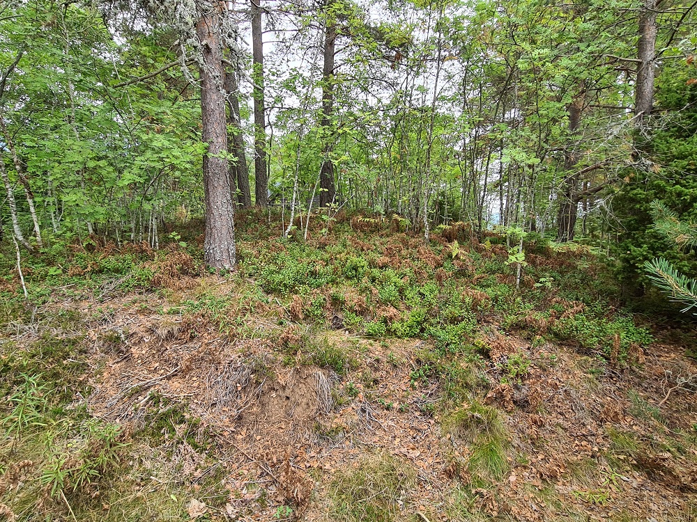 Click for full size image of Knatten (PID:250348) Knatten