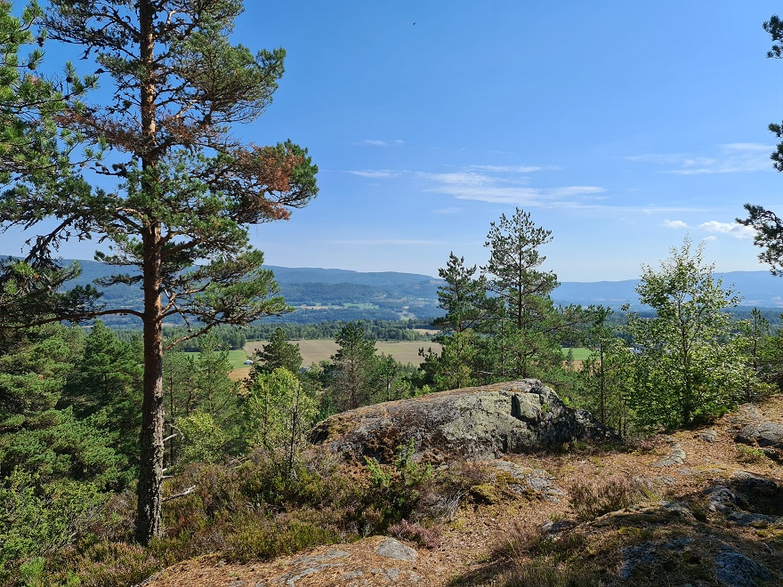 Myreslottet (PID:249661) Myreslottet