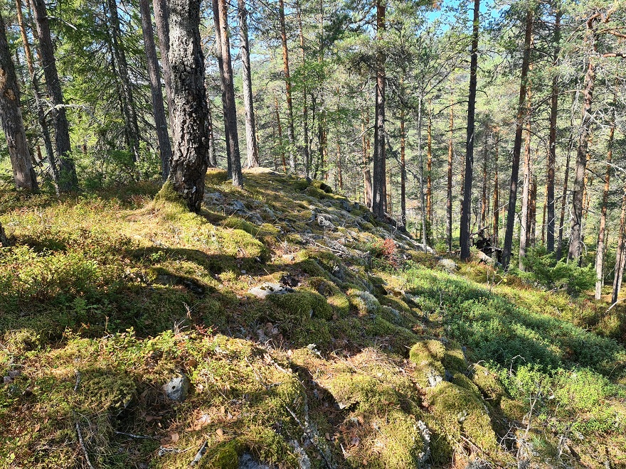 Click for full size image of Myreslottet (PID:249660) Myreslottet