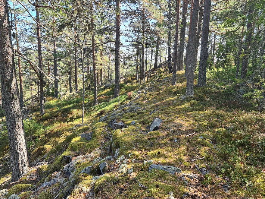 Click for full size image of Myreslottet (PID:249659) Myreslottet