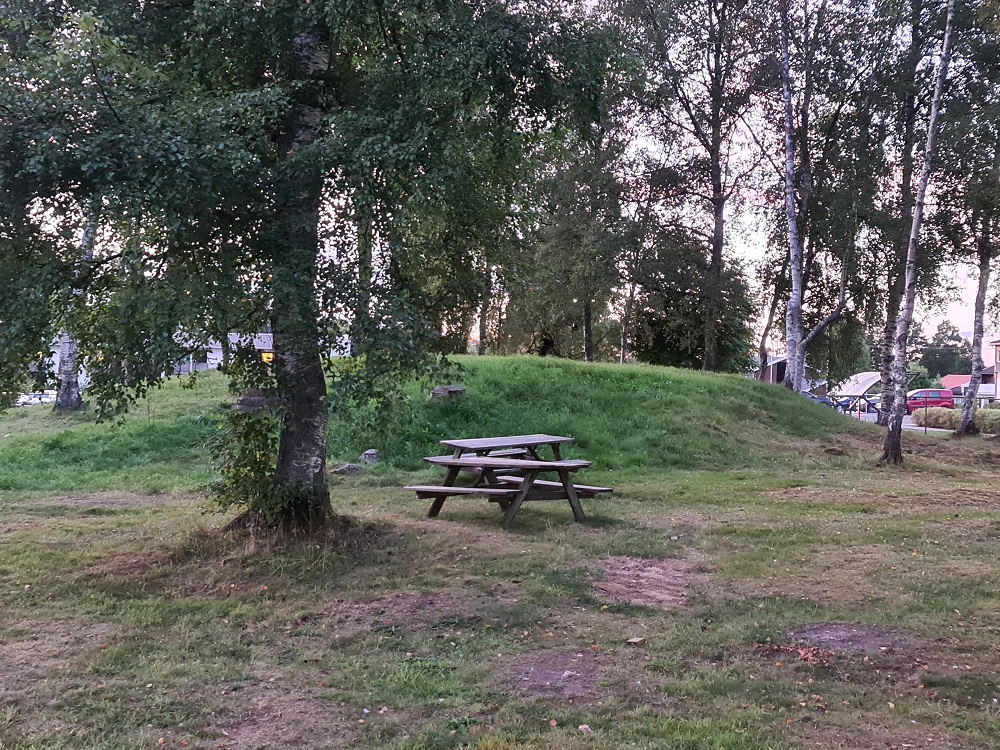 Askim Fylkessykehusets Park (PID:250215) Askim Fylkessykehusets Park