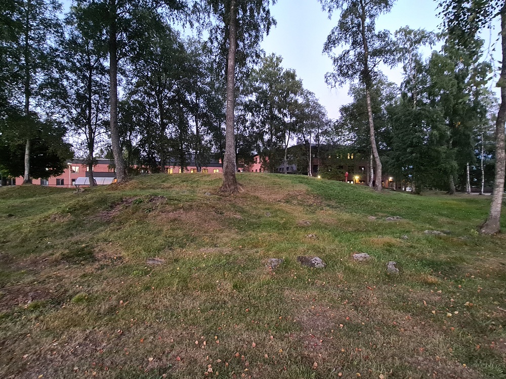 Click for full size image of Askim Fylkessykehusets Park (PID:250216) Askim Fylkessykehusets Park
