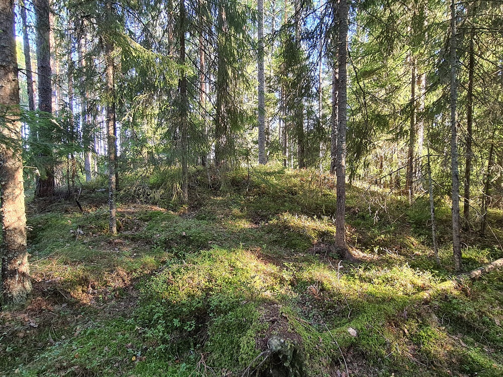 Click for full size image of Jødal Lille (PID:250129) Jødal Lille