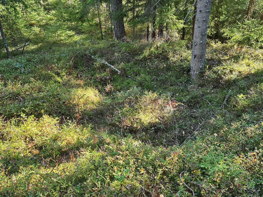 Click for full size image of Jødal Lille (PID:250130) Jødal Lille
