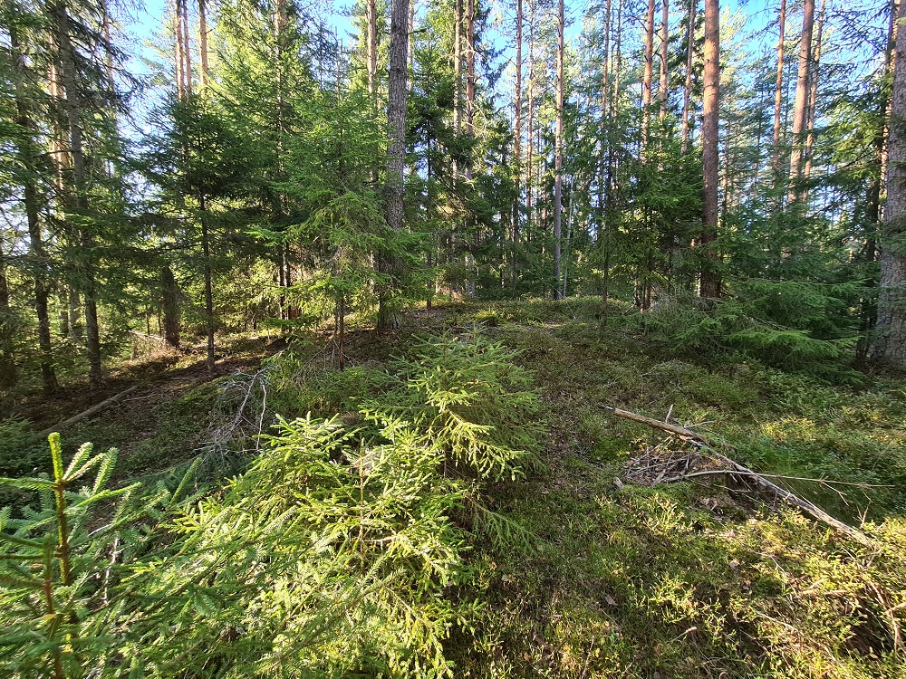 Click for full size image of Jødal Lille (PID:250127) Jødal Lille