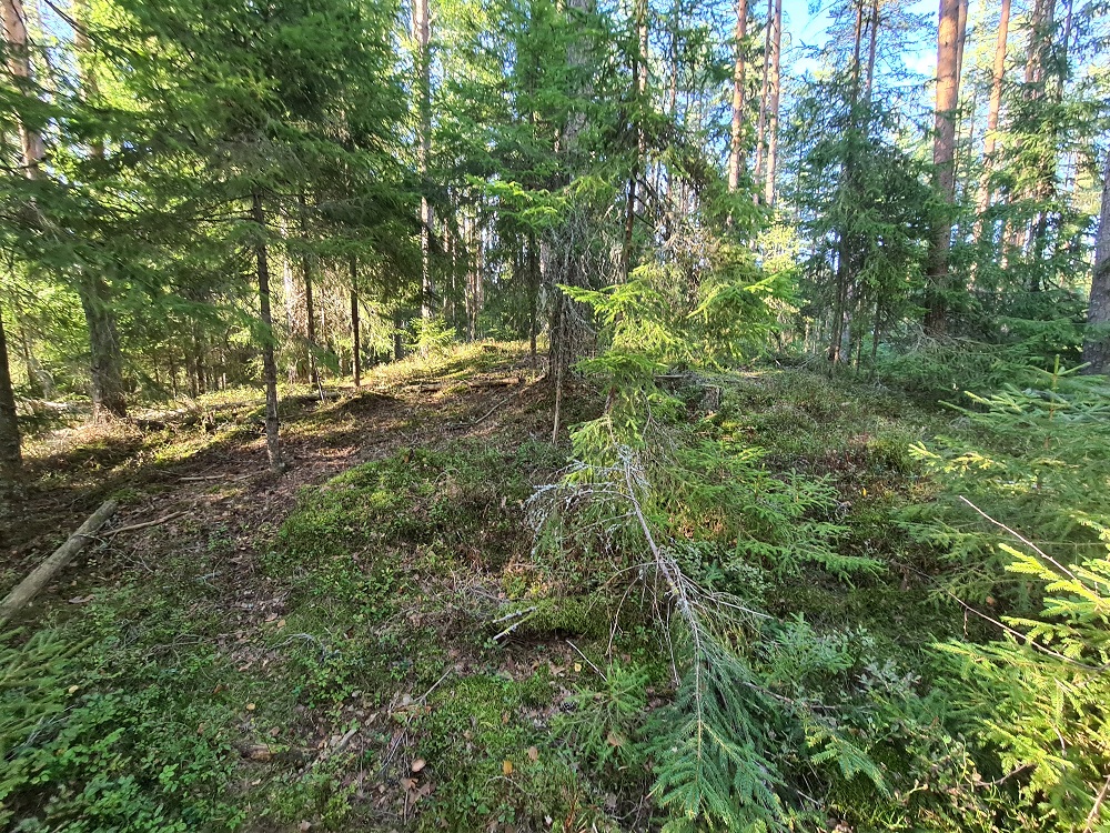 Click for full size image of Jødal Lille (PID:250128) Jødal Lille