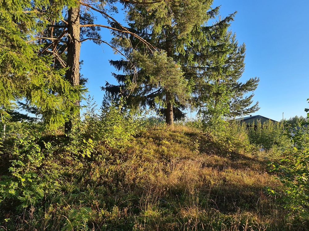 Click for full size image of Kjosholtet (PID:250598) Kjosholtet